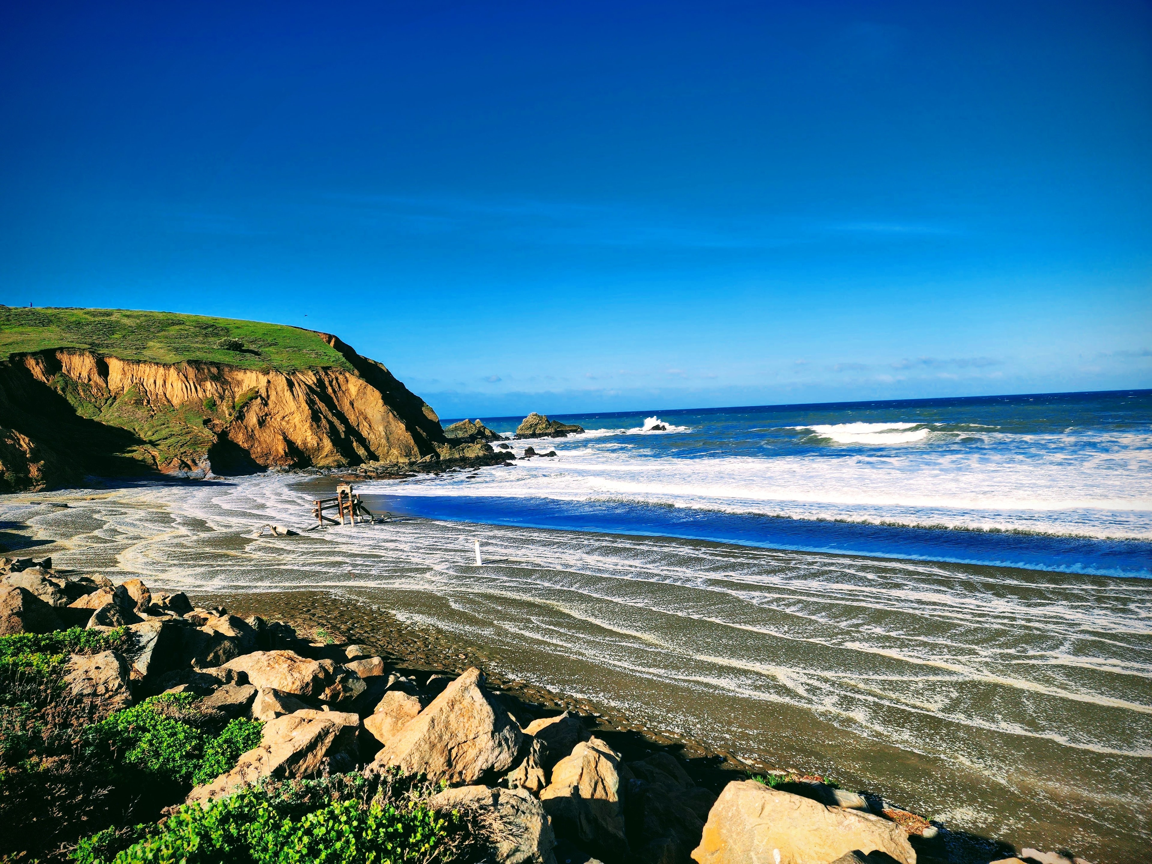 White jellyfish washed ashore across the Pacifica beach